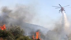 Sofulu ilçesinin ormanlık alanında yangın çıktı