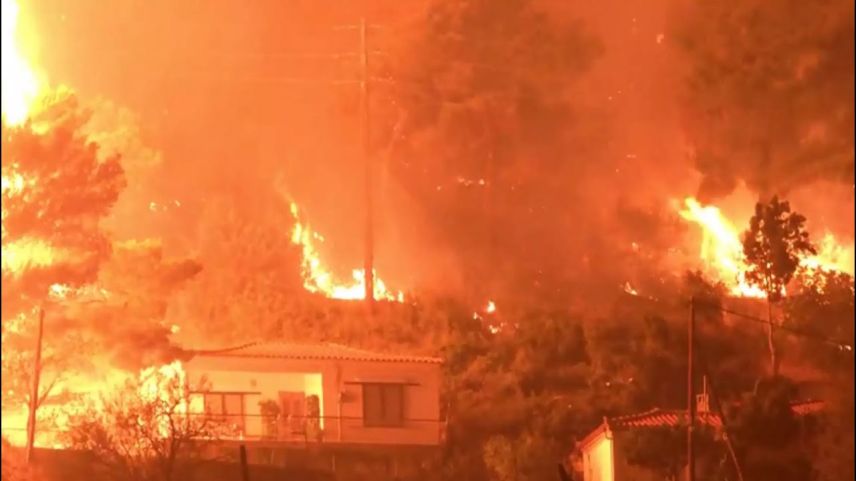 Yunanistan'daki yangın Türkiye'nin sınır köylerine dayandı