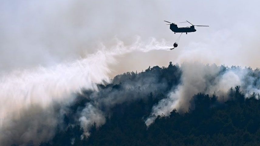 Semadirek Adası’ndaki orman yangını konrol altına alındı