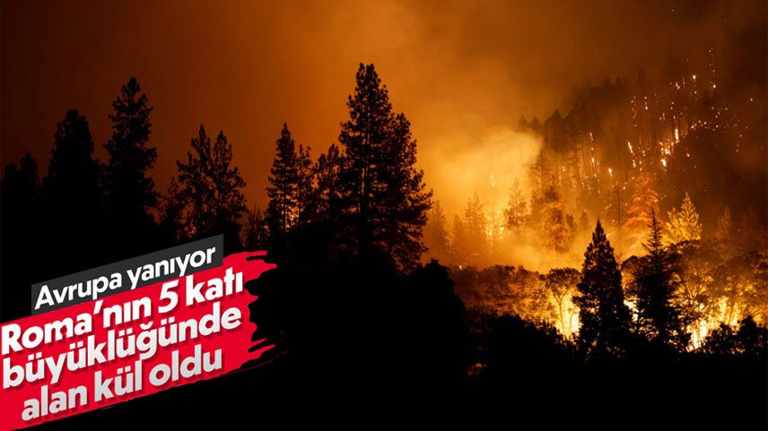 Avrupa'da Roma'nın 5 katı büyüklüğünde alan küle döndü