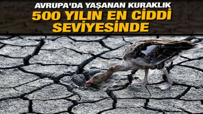 Avrupa'da yaşanan kuraklık 500 yılın en kötüsü olabilir!