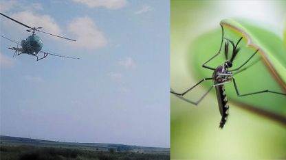 Rodop bölgesinde Çarşamba günü ilaçlama yapılacak