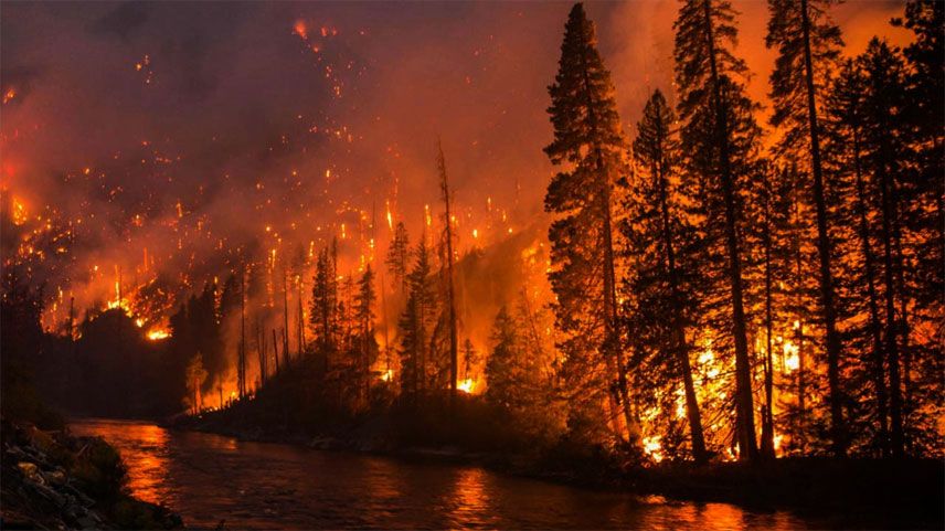 AB içinde 700 bin hektar ormanlık alan yandı