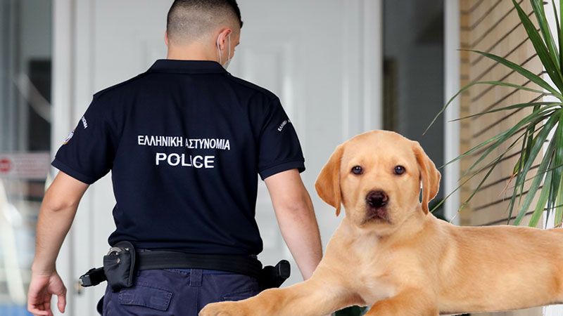 Polis, köpeği asanları arıyor
