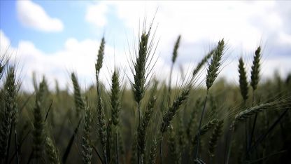 Avrupa'daki gıda üreticileri destek istedi