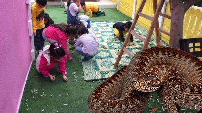 Anaokulda engerek yuvası bulundu