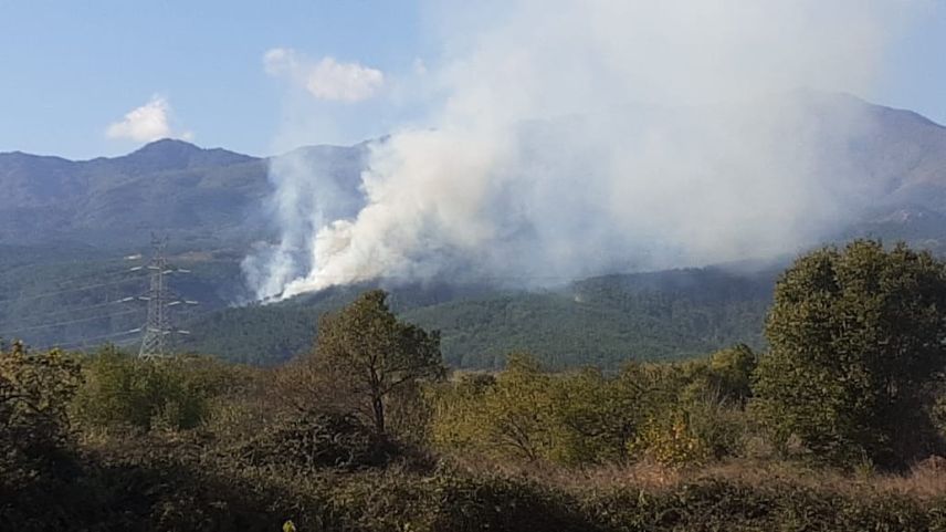 Çepelli köyü çamlık bölgesinde çıkan yangın kontrol altına alındı