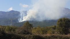 Çepelli köyü çamlık bölgesinde çıkan yangın kontrol altına alındı