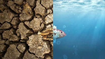 2022'nin en yıkıcı 10 iklim felaketi