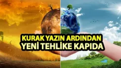 Avrupa kurak yazın ardından sıcak kışla sınanıyor