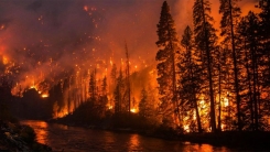 Yunanistan'da orman yangınları çok büyük zarar verdi