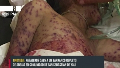 Arı sokması nedeniyle 6 yolcu öldü, 17 yolcu hastanelik oldu