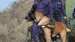 5 polis insan kaçakçılığı suçlamasıyla gözaltına alındı