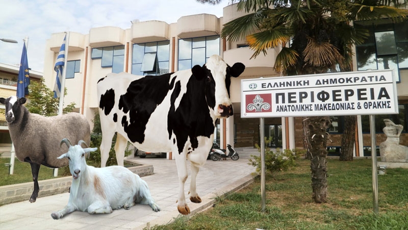 Kurbanlık satımı ve kesimi konusunda uyarı yapıldı!