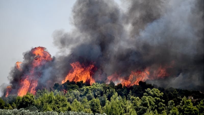 Rodos Adası'nda yangın çıktı