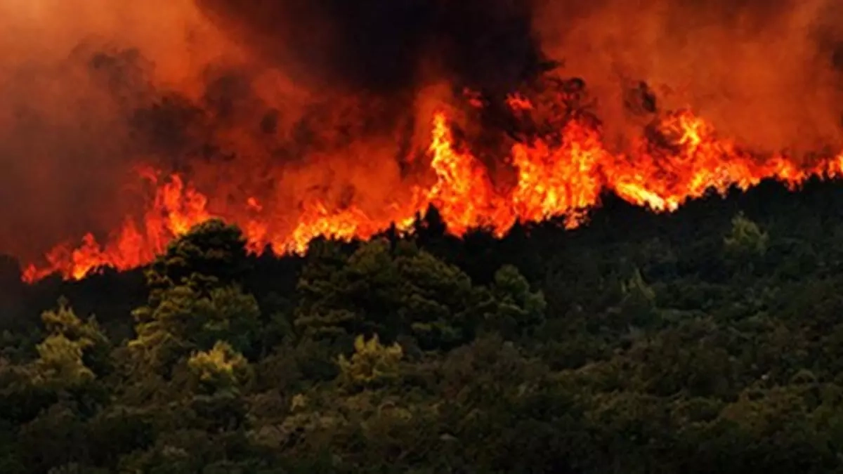 Korfu Adası'nda da orman yangını çıktı