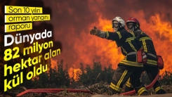 Son 10 yılda yaklaşık 82 milyon hektar ormanlık alan yandı