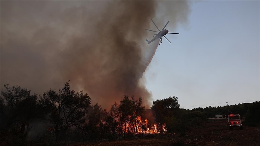 Kuzey yarım küredeki orman yangınları nedeniyle 40 kişi öldü