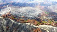 Temmuzun ikinci yarısında 470 bin dönüm ormanlık alan yandı