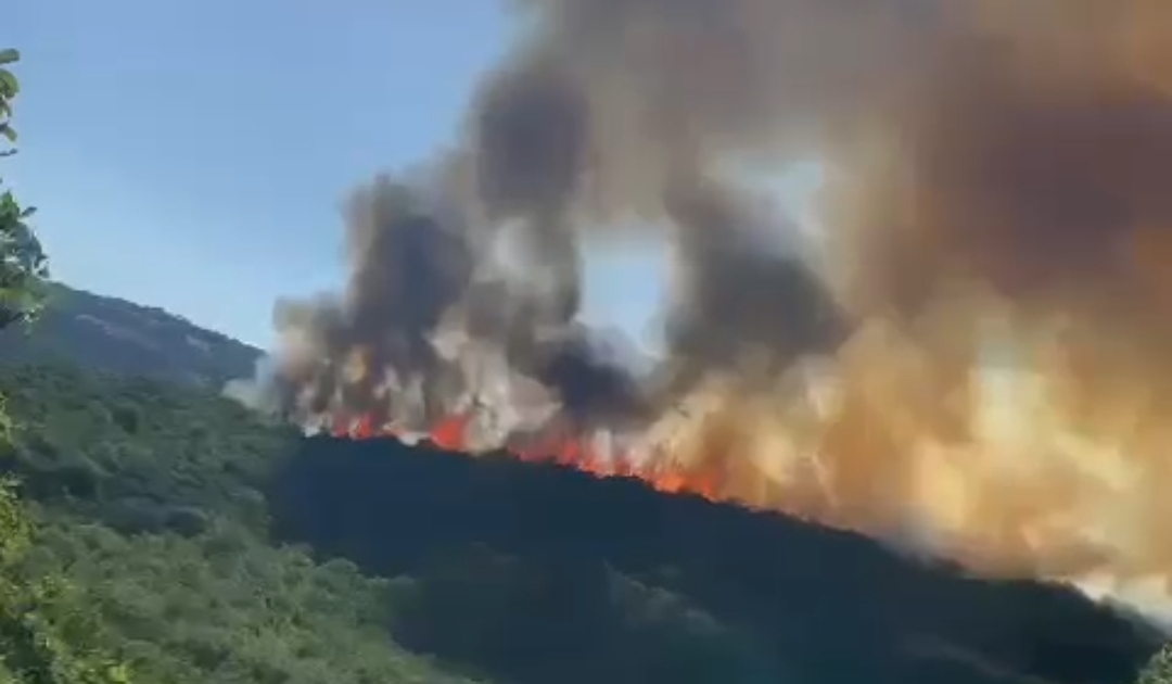 Kayrak köyü yakınında yangın çıktı 