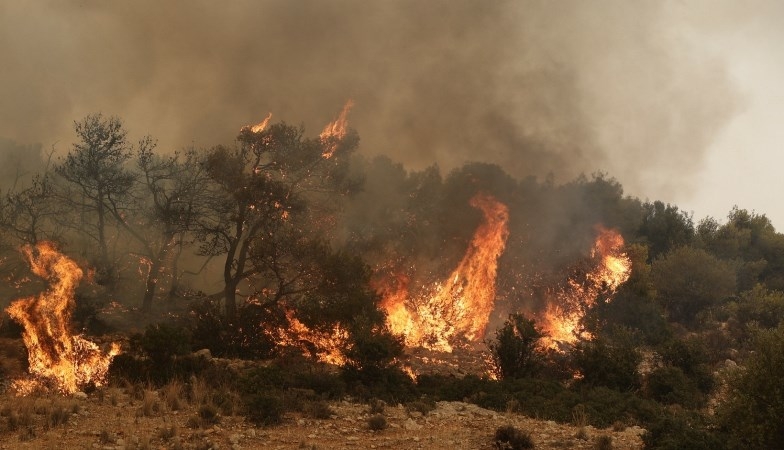 Attika bölgesinde ormanların yüzde 23'ü tahrip oldu