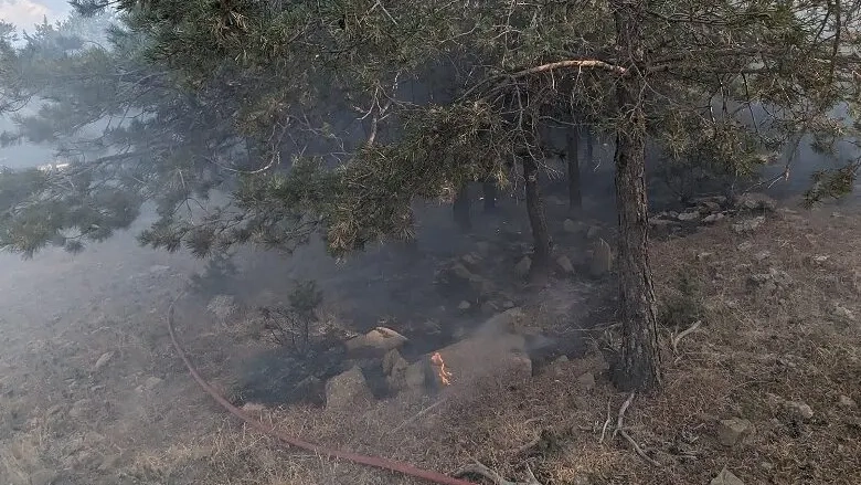 Gümülcine’nin Kızılağaç köyü yakınlarındaki yangın korkuttu