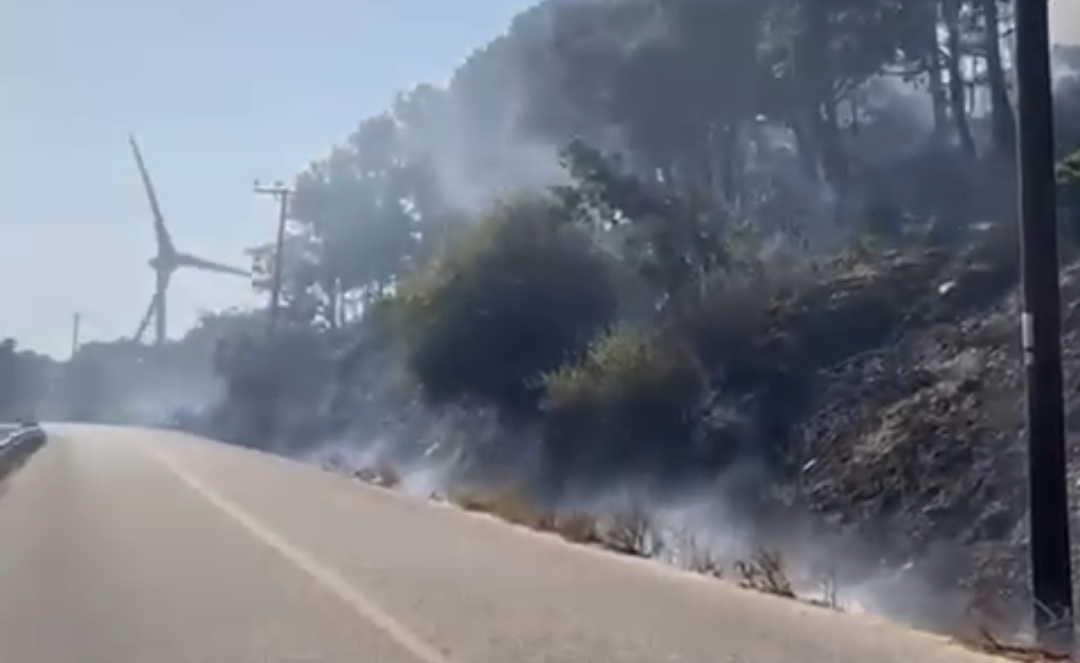 Mehrikoz bölgesinde yangın çıktı 