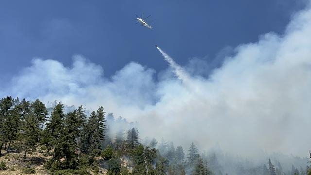 Dedeağaç'ta orman yangını 