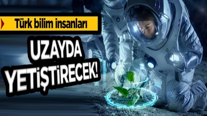 Türk bilim insanları, uzay görevinde bitki yetiştirecek