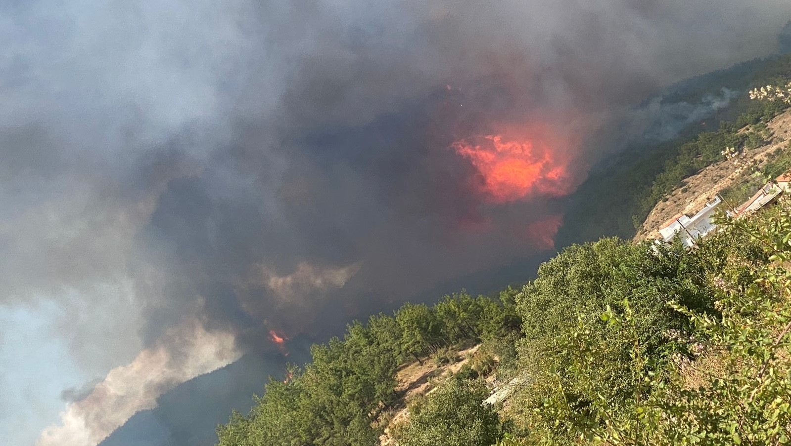 Rodop ilinde yaka bölgesinde de yangın çıktı