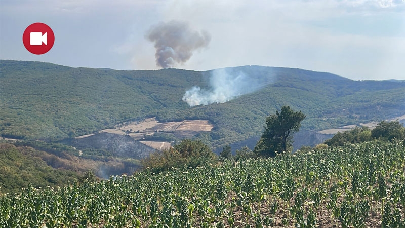 Rodop ilinde Kayrak köyü yakınlarında yeni bir yangı çıktı!