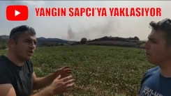 Dedeağaç'taki yangın Şapçı Belediyesi sınırlarına ulaştı