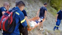 Αρκούδα επιτέθηκε και τραυμάτισε 67χρονο 