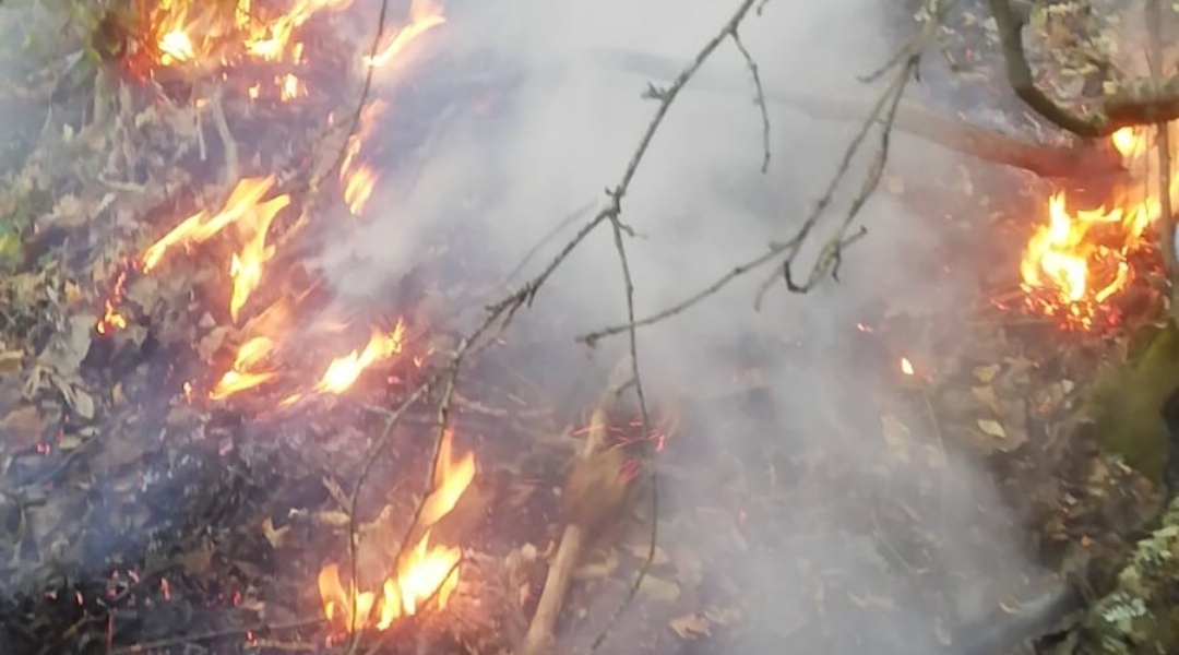 Durhasanlar-Fındıcak arası yangın kontrol altına alındı