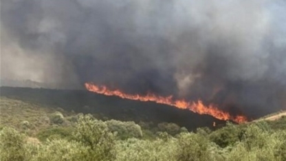 Batı Trakya'daki yangınlar nihayet kontrol altına alındı