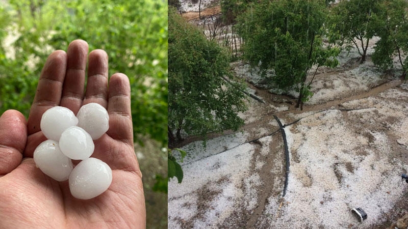 Yunanistan'da ceviz büyüklüğünde dolu zarar verdi, okullara ara verildi