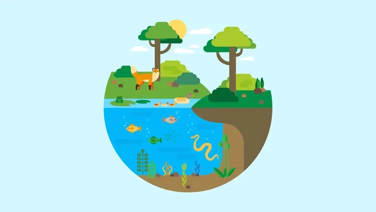 İlk ve ortaokullara yeni ders eklendi