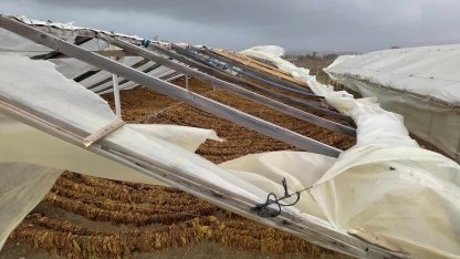 Rodop bölgesinde fırtına ve şiddetli yağış zarara neden oldu