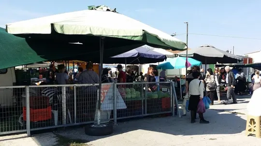 Portolagos pazarına ani baskın