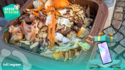 Kahverengi kutuların ne işe yaradığın yaz, cep telefonu kazan