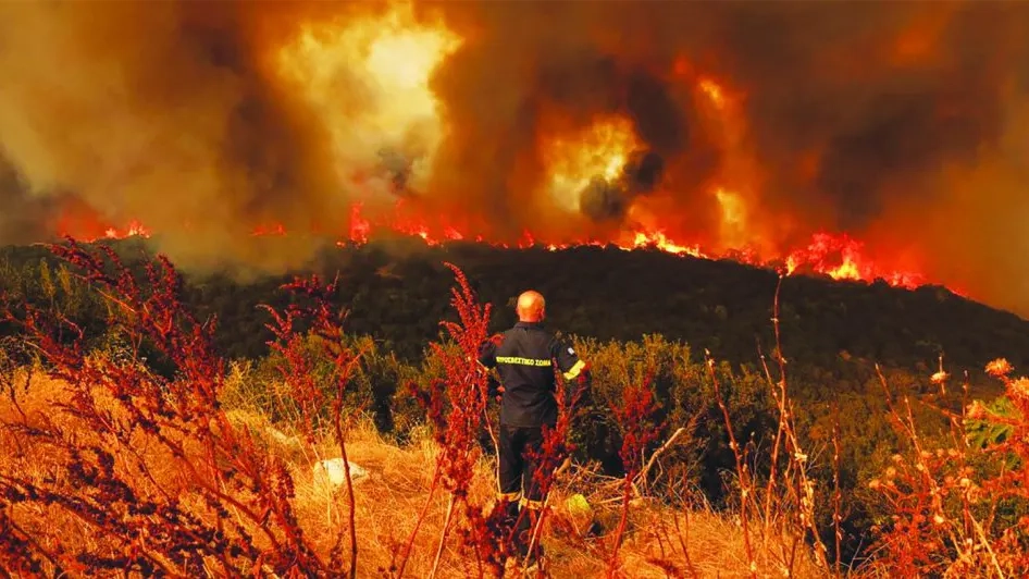 Batı Trakya'da son 20 yılın en büyük orman yangınları