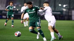 Panathinaikos, kupa maçında Atromitos'a evinde mağlup oldu