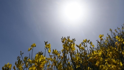 O καιρός σήμερα: Μέχρι 21 βαθμούς η θερμοκρασία 