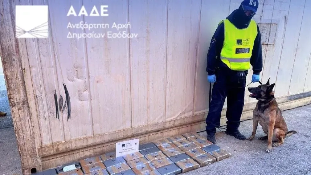 Muz kaplarına gizlenmiş 2,8 milyo euroluk kokain ele geçirildi