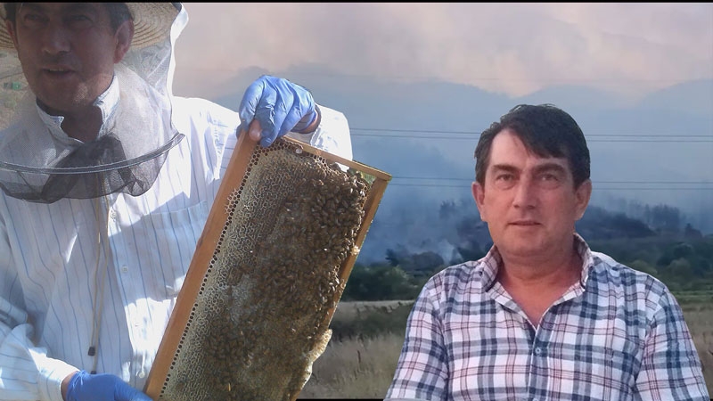 Rodoplu arı yetiştiricileri hükümetten destek bekliyor