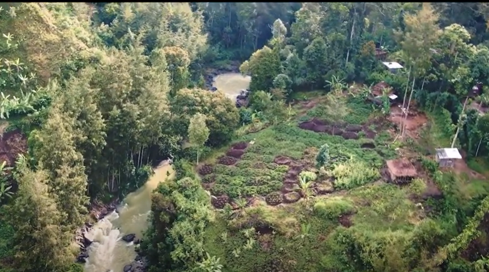 Kabile çatışmasında 53 kişi öldü