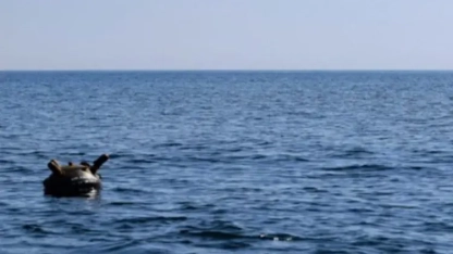 Türkiye, Bulgaristan ve Romanya Karadeniz’deki deniz mayınlarını temizleme konusunda anlaştı