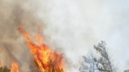 Girit'te ormanlık alanda yangın: Yakın köylerin tahliyesi istendi