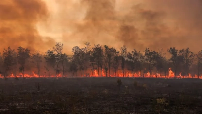 24 saat içinde 49 orman yangını meydana geldi