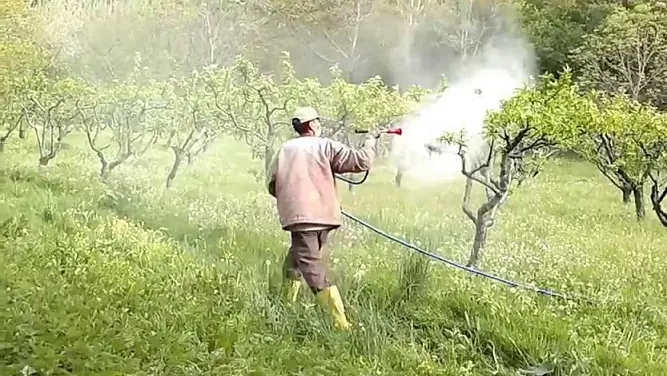 Böcek ilacı soluyan 66 yaşındaki adam öldü